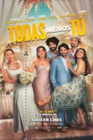 Todas Menos Tú (2024) online