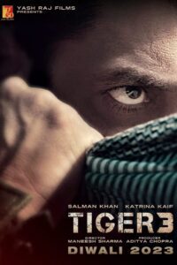 Tiger 3 (2023) online