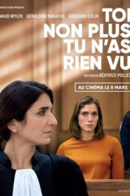 Toi non plus tu n’as rien vu (2023) online