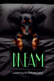 Dream (2024) online