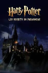 Harry Potter : les secrets du phénomène (2023) online