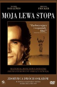 Moja lewa stopa (1989) online