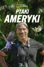 Ptaki Ameryki