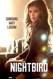 Nightbird (2023) online