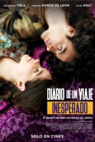 Diario de un viaje inesperado (2023) online