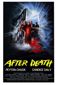 After Death – Oltre la morte (1990) online