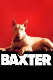 Baxter (1989) online