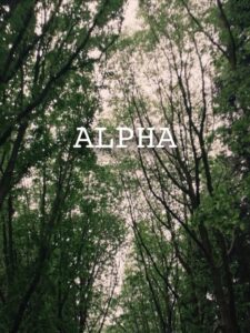 ALPHA. (2024) online