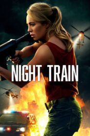 Night Train (2023) online