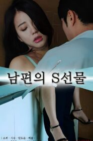 남편의 S선물 (2023) online