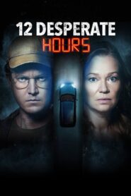 12 Desperate Hours (2023) online