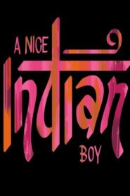 A Nice Indian Boy (2024) online