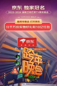 2024湖南卫视芒果TV跨年晚会 (2023) online