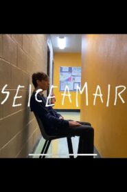 Seiceamair (2024) online