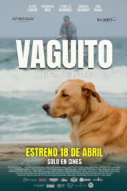 Vaguito (2024) online