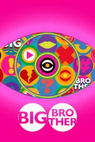 Big Brother: Live Stream