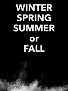 Winter Spring Summer or Fall (2024) online