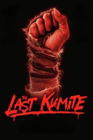 The Last Kumite (2024) online