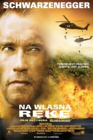 Na Własną Rękę (2002) online