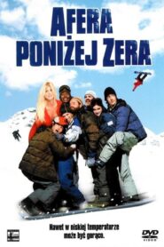 Afera poniżej zera (2001) online