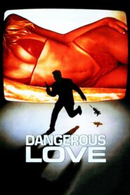 Dangerous Love (1988) online