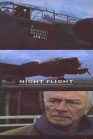 Night Flight (2002) online