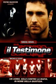 Il testimone (2001) online