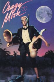 Crazy Moon (1987) online