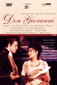 Don Giovanni (2001) online