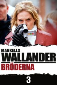 Bröderna (2005) online