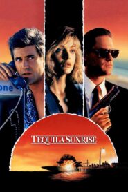 Tequila Sunrise (1988) online