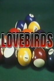 Love Birds (1988) online