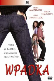 Wpadka (2001) online