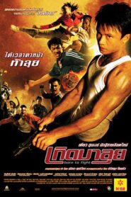 เกิดมาลุย (2004) online