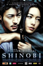 Shinobi (2005) online