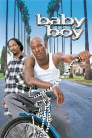 Baby Boy (2001) online