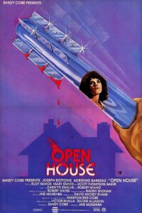 Open House (1987) online