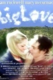 BigLove (2001) online