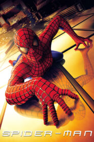 Spider-Man (2002) online