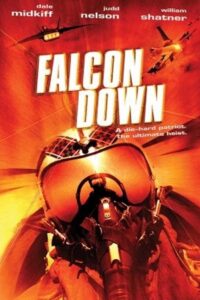 Falcon Down (2001) online