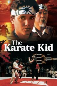 Karate Kid (1984) online