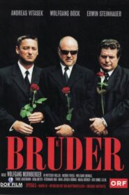 Brüder (2002) online