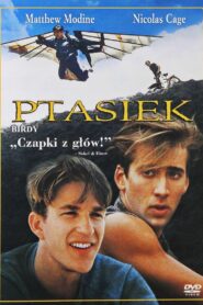 Ptasiek (1984) online