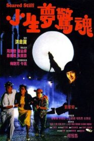 小生夢驚魂 (1987) online