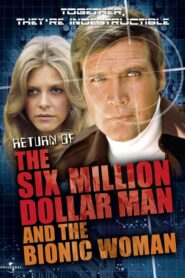 The Return of the Six-Million-Dollar Man and the Bionic Woman (1987) online