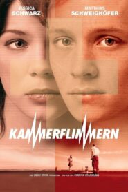 Kammerflimmern (2004) online