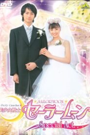 美少女戦士セーラームーンSpecial Act：わたしたち結婚します!! (2004) online