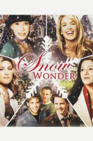 Snow Wonder (2005) online