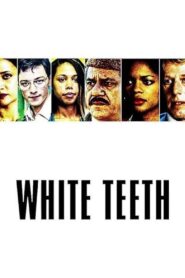 White Teeth (2002) online