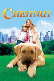 Chestnut: Hero of Central Park (2004) online